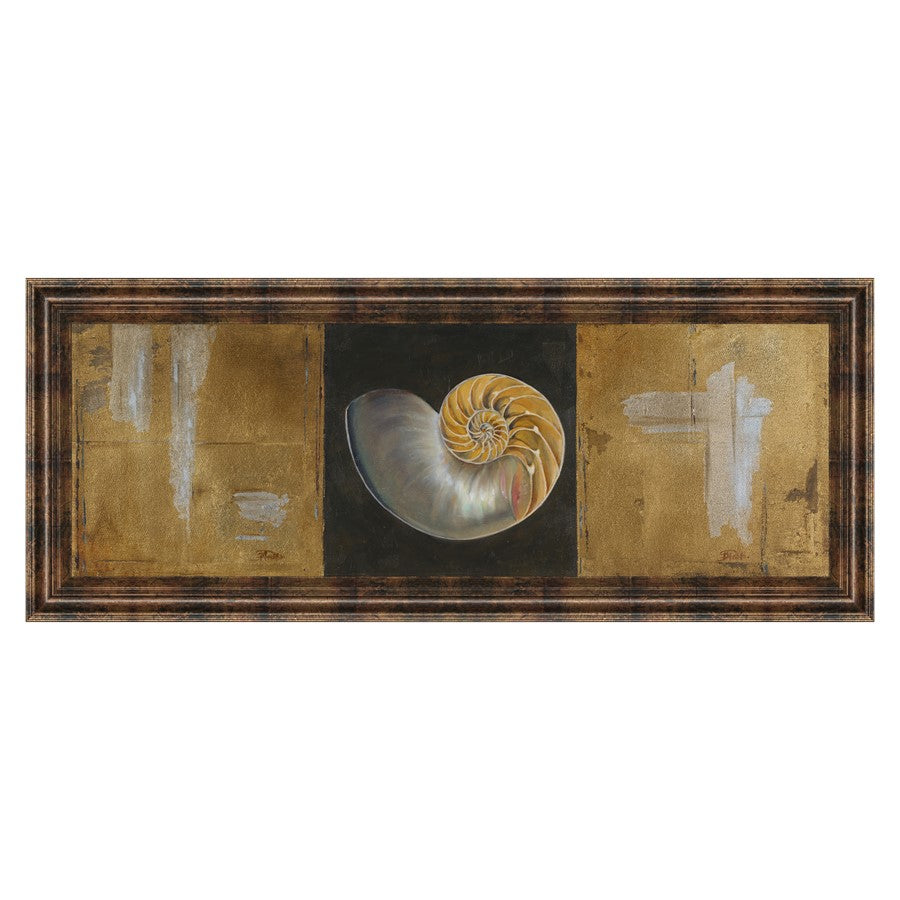 Classy Living Seashell Spiral 42x18in Wall Art | Transitional Coastal Paper Print in Dark Chocolate MDF Frame | Living Room & Bedroom Decor | Model 1242