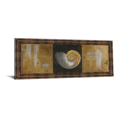Classy Living Seashell Spiral 42x18in Wall Art | Transitional Coastal Paper Print in Dark Chocolate MDF Frame | Living Room & Bedroom Decor | Model 1242