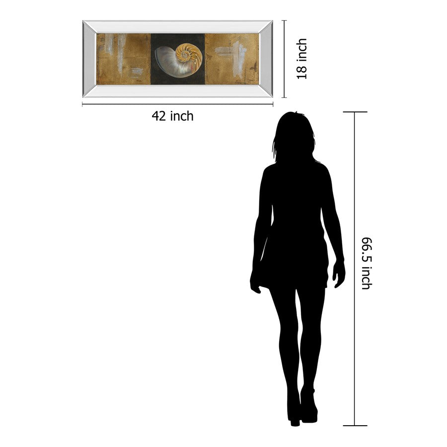Classy Living Seashell Spiral 42x18in Rectangular Wall Art | Transitional Mirrored Frame with Gold, Black & Beige Print | Living Room & | Model 1242MF