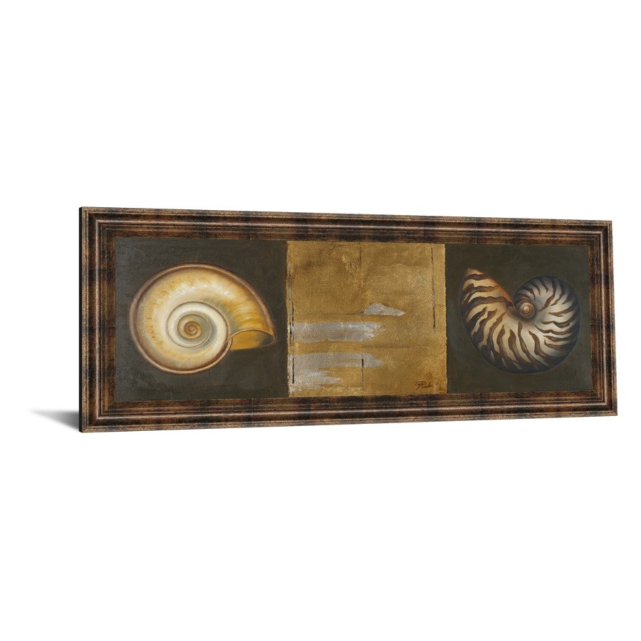 Classy Living Seashell Elegance 42x18in Wall Art | Transitional Dark Chocolate MDF Frame with Glass | Living Room & Office Coastal Decor | 42 | Model 1243
