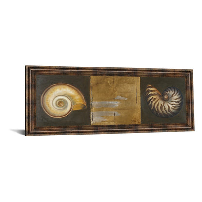 Classy Living Seashell Elegance 42x18in Wall Art | Transitional Dark Chocolate MDF Frame with Glass | Living Room & Office Coastal Decor | 42 | Model 1243