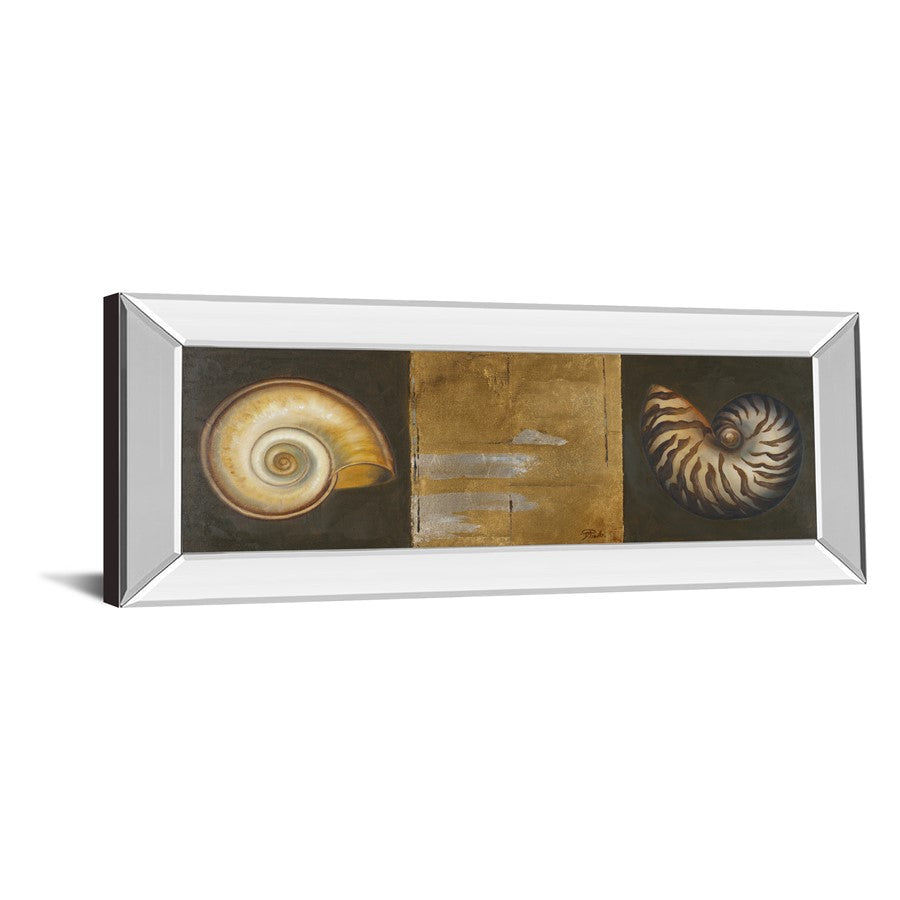 Classy Living Seashell Elegance 42x18in Wall Art | Transitional Mirrored Frame with Seashell Graphic Art | Living Room & Office Coastal | Model 1243MF