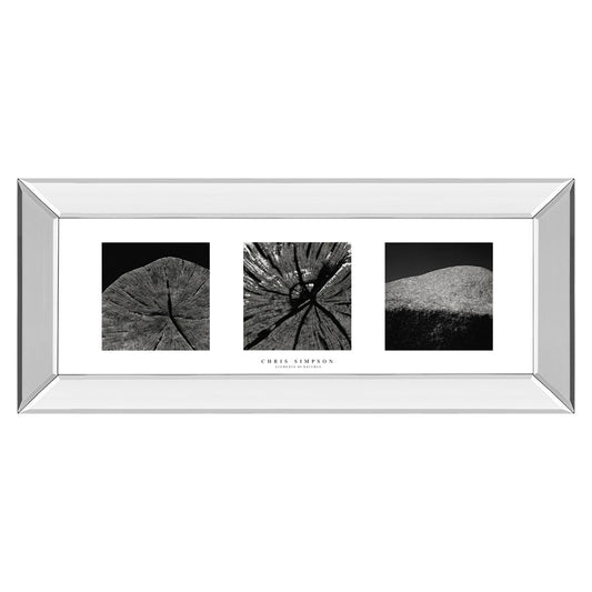 Classy Living Nature's Textures 42x18in Wall Art | Contemporary Black & White Photography with Mirrored Frame | Living Room & Office Decor | Model 1594MF