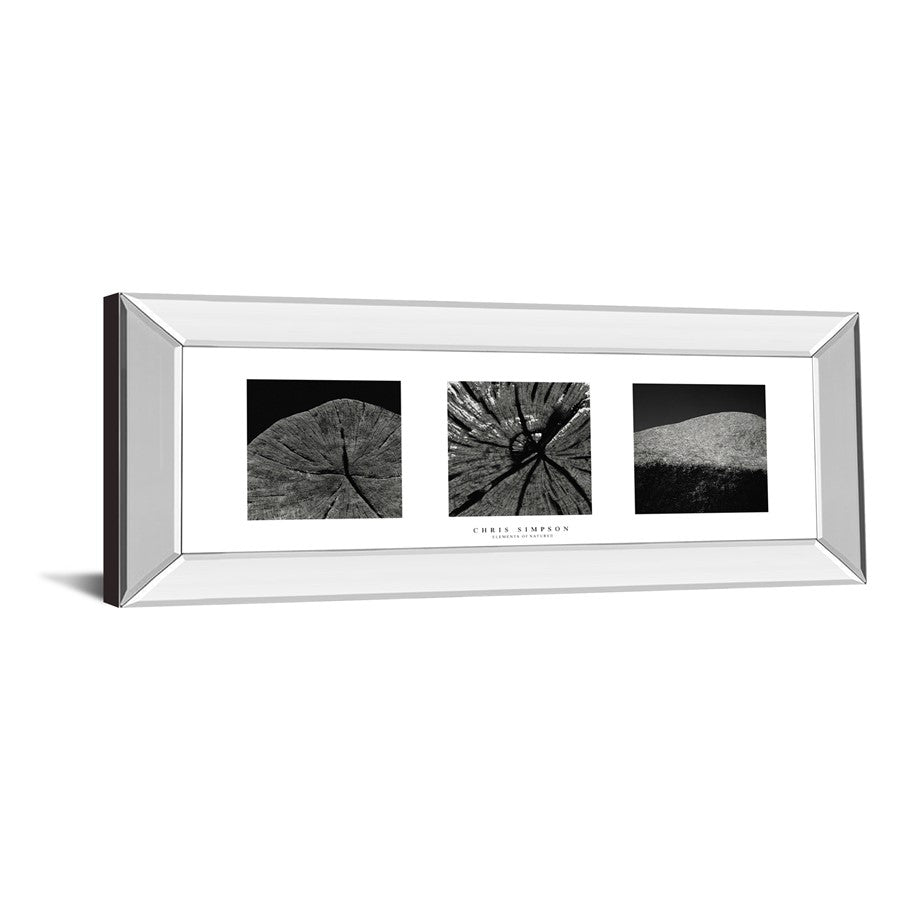 Classy Living Nature's Textures 42x18in Wall Art | Contemporary Black & White Photography with Mirrored Frame | Living Room & Office Decor | Model 1594MF