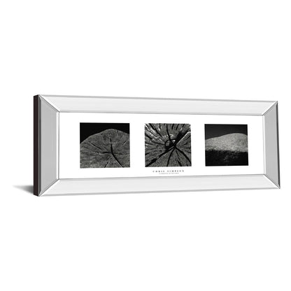 Classy Living Nature's Textures 42x18in Wall Art | Contemporary Black & White Photography with Mirrored Frame | Living Room & Office Decor | Model 1594MF