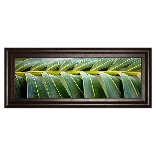 Classy Living Palm Harmony 42x18in Wall Art | Contemporary Multicolor Paper on MDF in Dark Chocolate Frame | Living Room & Office Decor | 42 | Model 1635