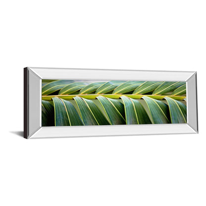 Classy Living Palm Harmony 42x18in Wall Art | Contemporary Palm Leaves on Paper with Mirrored Frame | Living Room & Office Decor | 42 x 18 | Model 1635MF