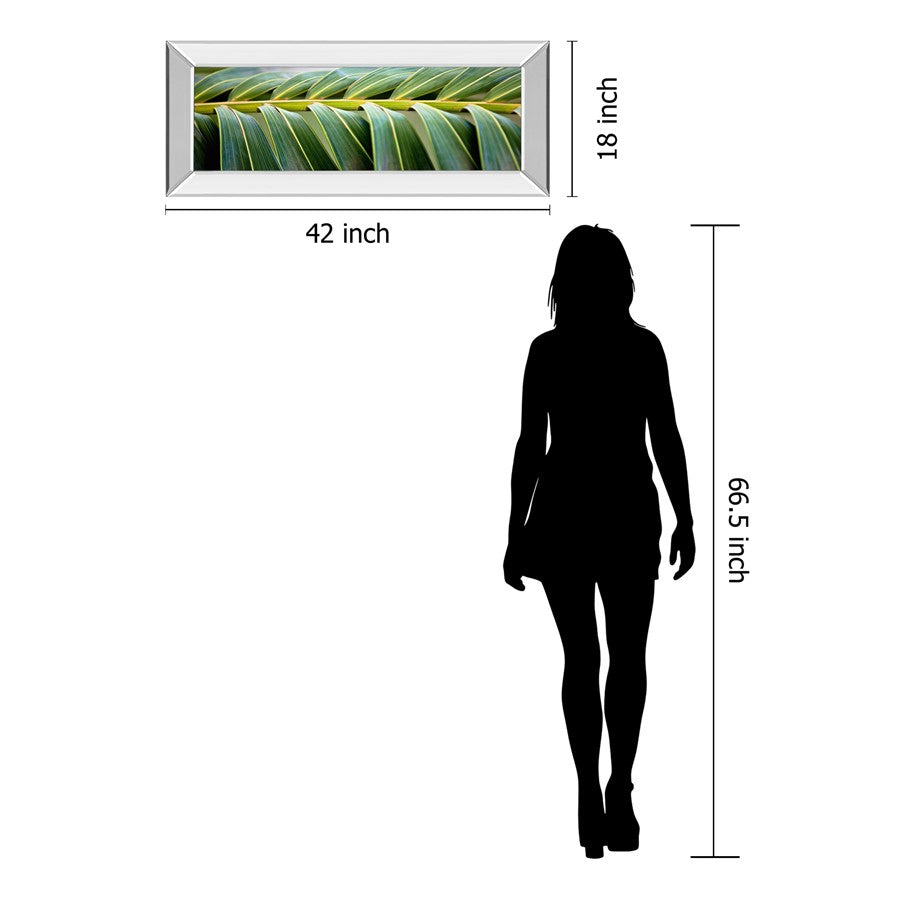 Classy Living Palm Harmony 42x18in Wall Art | Contemporary Palm Leaves on Paper with Mirrored Frame | Living Room & Office Decor | 42 x 18 | Model 1635MF