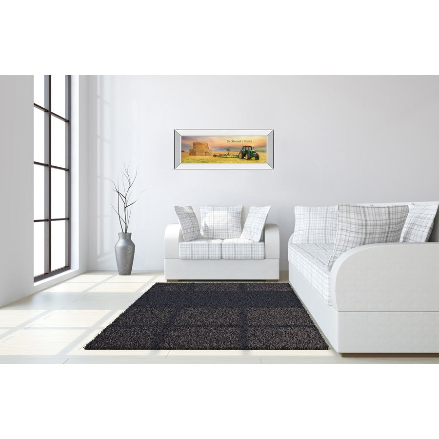 Classy Living Harvest Plenty 42x18in Rectangular Wall Art | Contemporary Mirrored Frame with Paper Print | Living Room & Office Decor | 42 | Model 1676MF