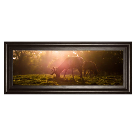 Classy Living Morning Haze Grazing Deer Wall Art 42x18in | Contemporary Framed Print on Paper in Dark Chocolate MDF Frame | Living Room & | Model 1751