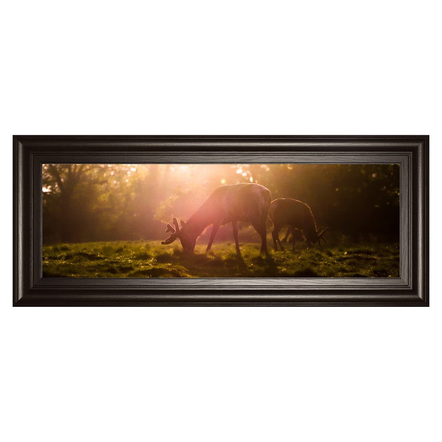 Classy Living Morning Haze Grazing Deer Wall Art 42x18in | Contemporary Framed Print on Paper in Dark Chocolate MDF Frame | Living Room & | Model 1751