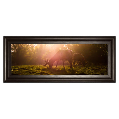 Classy Living Morning Haze Grazing Deer Wall Art 42x18in | Contemporary Framed Print on Paper in Dark Chocolate MDF Frame | Living Room & | Model 1751