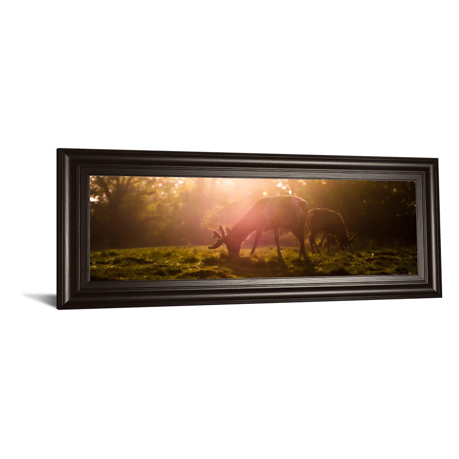 Classy Living Morning Haze Grazing Deer Wall Art 42x18in | Contemporary Framed Print on Paper in Dark Chocolate MDF Frame | Living Room & | Model 1751