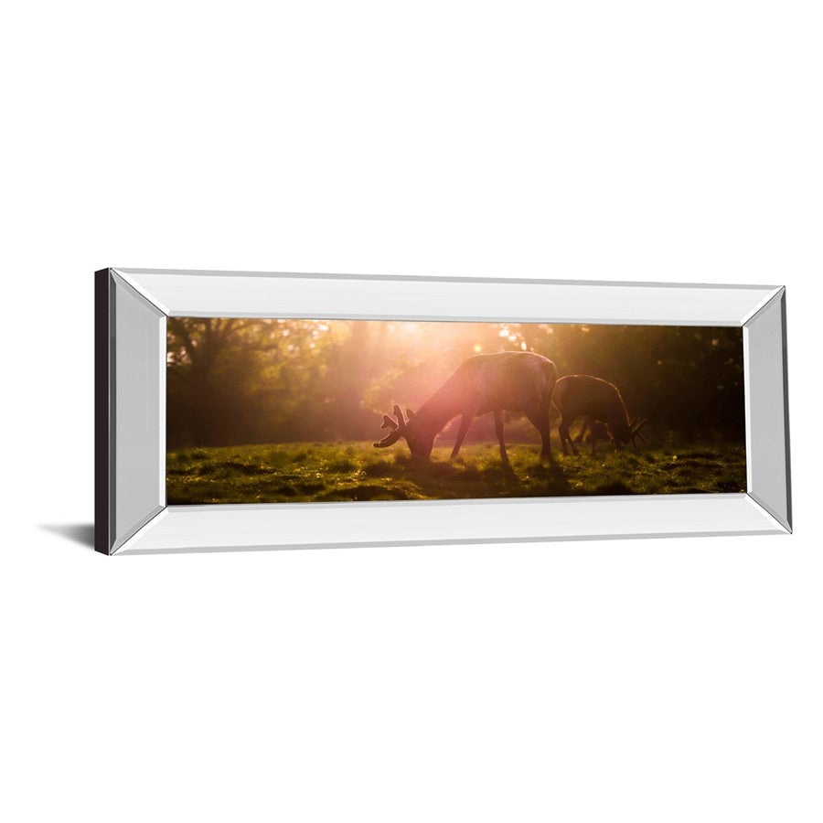 Classy Living Morning Haze 42x18in Rectangular Wall Art | Contemporary Deer Grazing Scene with Mirrored Frame | Living Room & Bedroom Decor | Model 1751MF