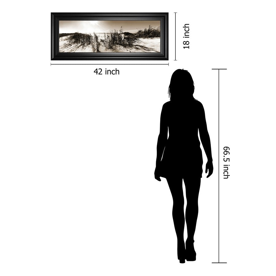 Classy Living Dune Breeze Wall Art 42x18in | Traditional Coastal Black MDF Frame | Living Room, Bedroom & Office Decor | 42 x 18 x 1 in | Model 1800