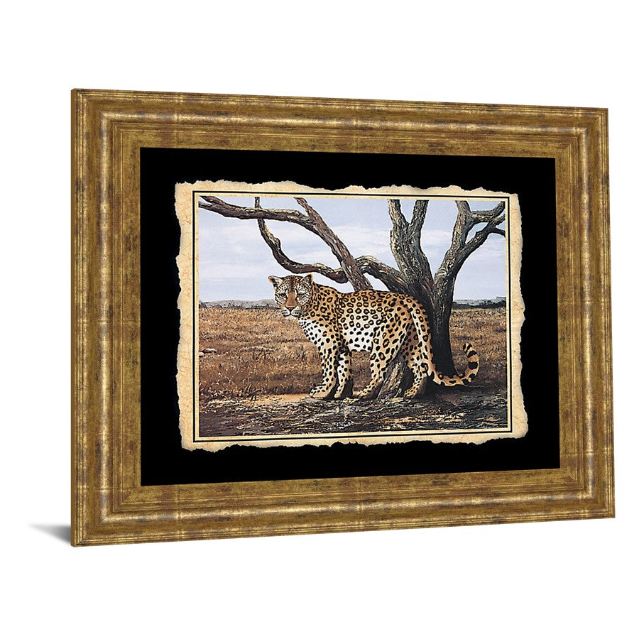 Classy Living Leopard Majesty 26x22in Wall Art | Traditional Gilded Radiance Frame and Paper Print | Living Room & Office Decor | 26 x 22 x 1 | Model 206