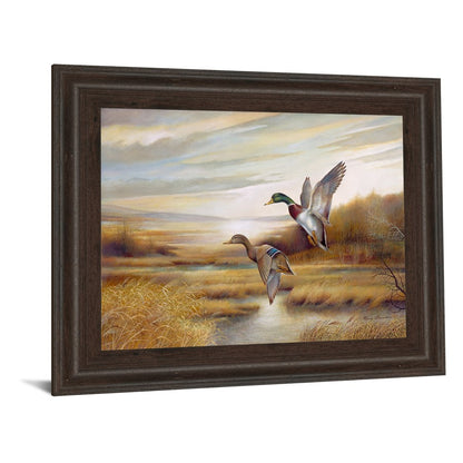 Classy Living Graceful Flight 26x22in Wall Art | Traditional Brown MDF Frame with Glass | Living Room, Den & Office Decor | 26 x 22 x 1 in | Model 253