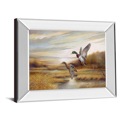 Classy Living Graceful Flight 26x22in Wall Art | Traditional Mirrored Frame | Living Room & Office Decor | 26 x 22 x 3 in | Model 253MF