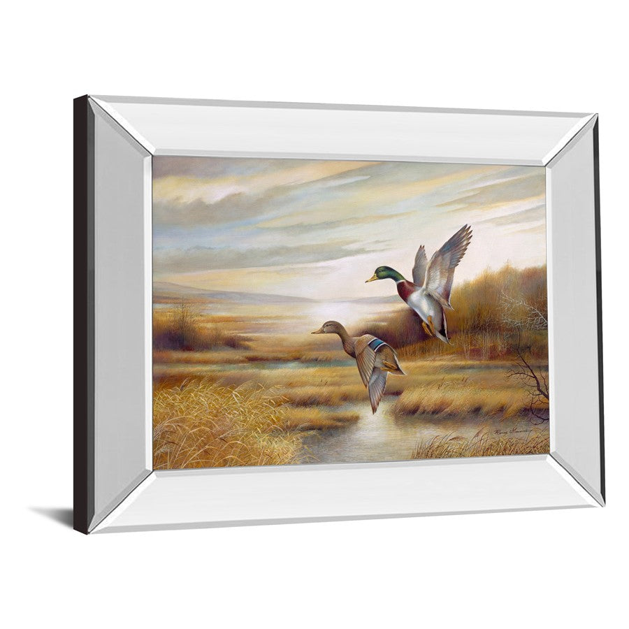 Classy Living Graceful Flight 26x22in Wall Art | Traditional Mirrored Frame | Living Room & Office Decor | 26 x 22 x 3 in | Model 253MF