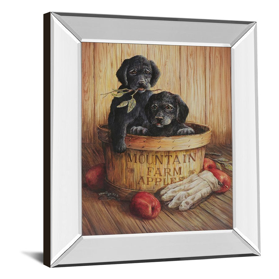 Classy Living Rustic Puppy Basket Wall Art 22x26in | Traditional Farmhouse Paper Art in Mirrored Frame | Living Room & Kitchen Wall Decor | Model 266MF