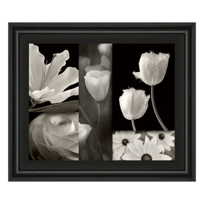 Classy Living Monochrome Blooms 26x22in Wall Art | Contemporary Paper Print in Midnight Aura MDF Frame | Living Room & Bedroom Botanical | Model 4747