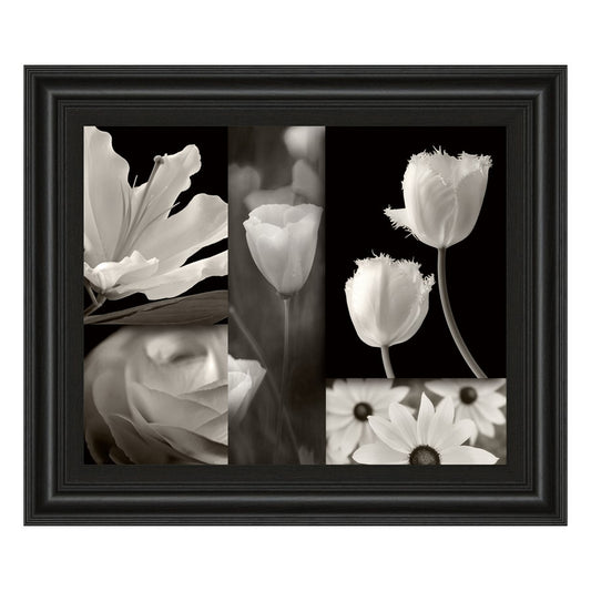 Classy Living Monochrome Blooms 26x22in Wall Art | Contemporary Paper Print in Midnight Aura MDF Frame | Living Room & Bedroom Botanical | Model 4747