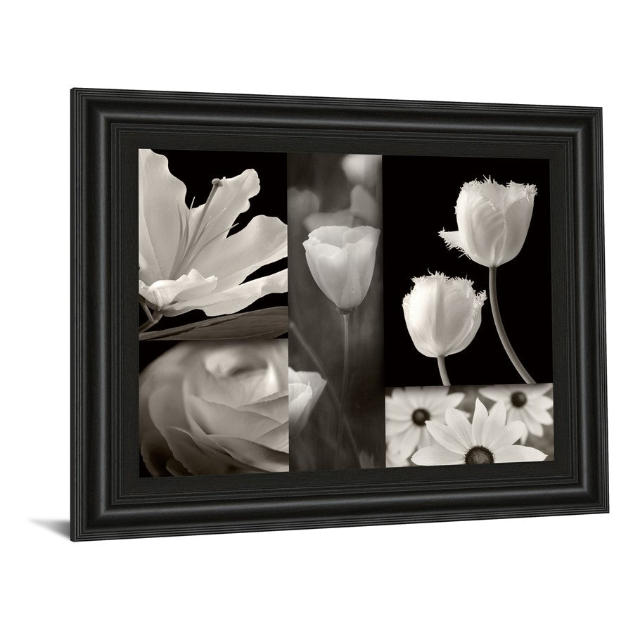 Classy Living Monochrome Blooms 26x22in Wall Art | Contemporary Paper Print in Midnight Aura MDF Frame | Living Room & Bedroom Botanical | Model 4747