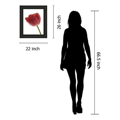 Classy Living Red Tulip Wall Art 22x26in | Contemporary Botanical Print in Midnight Aura Frame | Living Room & Bedroom Decor | 22 x 26 x 1 in | Model 4787