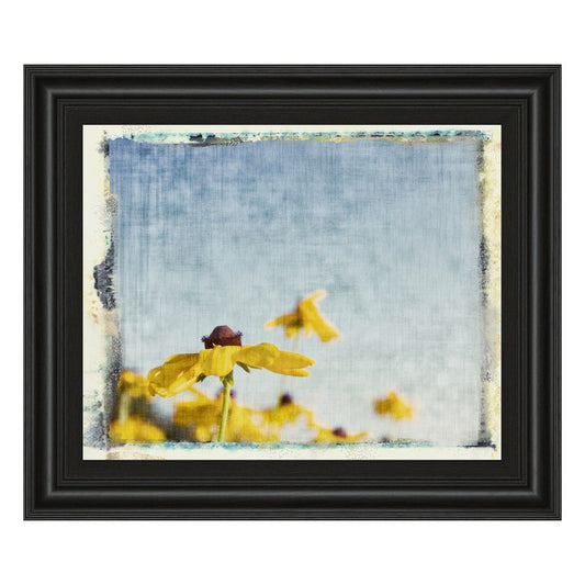 Classy Living Sunlit Blooms 26x22in Wall Art | Contemporary Midnight Aura MDF Frame with Glass | Living Room & Bedroom Decor | 1 x 26 x 22 in | Model 4920