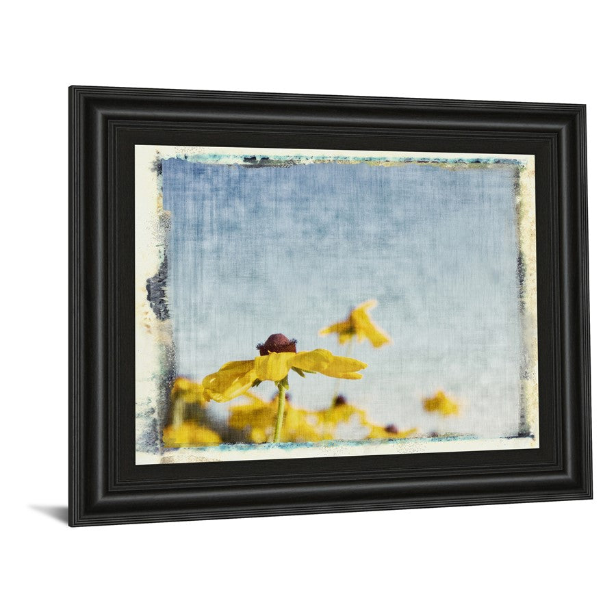 Classy Living Sunlit Blooms 26x22in Wall Art | Contemporary Midnight Aura MDF Frame with Glass | Living Room & Bedroom Decor | 1 x 26 x 22 in | Model 4920