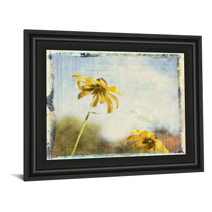 Classy Living Blackeyed Susan II 26x22in Wall Art | Contemporary Botanical Print with Midnight Aura Frame | Living Room & Bedroom Decor | 26 | Model 4921
