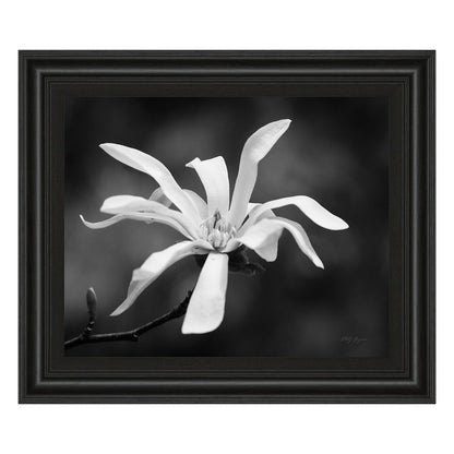 Classy Living Magnolia Grace 26x22in Wall Art | Contemporary Midnight Aura MDF Frame with Real Glass | Living Room & Bedroom Decor | 1 x 26 x | Model 4988