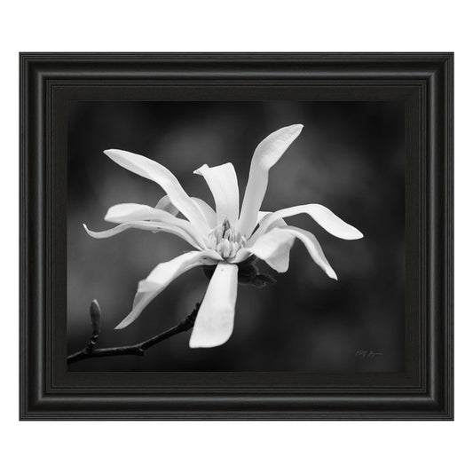 Classy Living Magnolia Grace 26x22in Wall Art | Contemporary Midnight Aura MDF Frame with Real Glass | Living Room & Bedroom Decor | 1 x 26 x | Model 4988