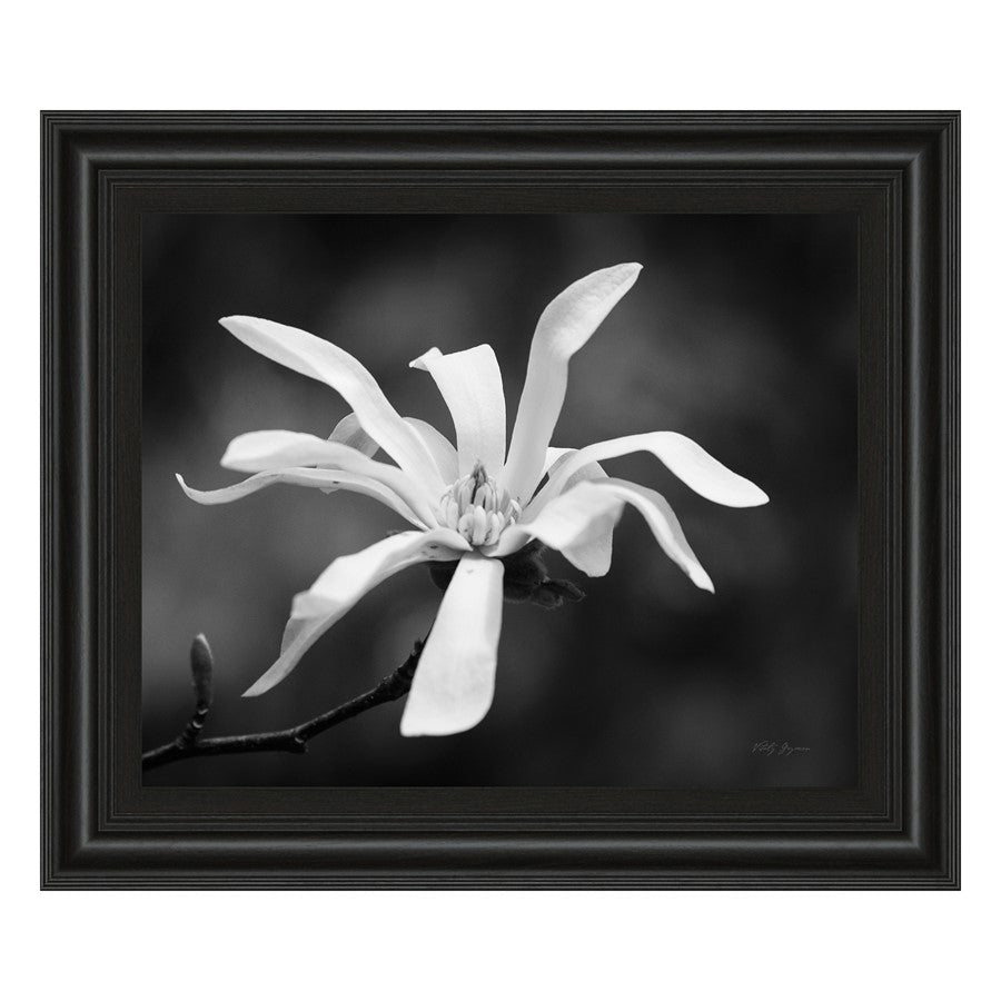 Classy Living Magnolia Grace 26x22in Wall Art | Contemporary Midnight Aura MDF Frame with Real Glass | Living Room & Bedroom Decor | 1 x 26 x | Model 4988