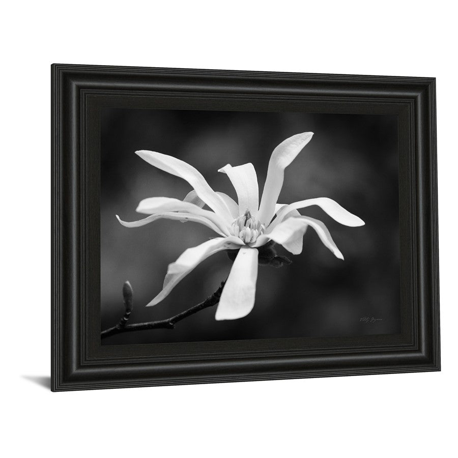 Classy Living Magnolia Grace 26x22in Wall Art | Contemporary Midnight Aura MDF Frame with Real Glass | Living Room & Bedroom Decor | 1 x 26 x | Model 4988