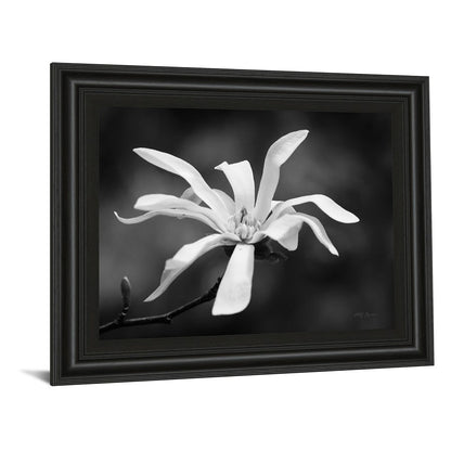 Classy Living Magnolia Grace 26x22in Wall Art | Contemporary Midnight Aura MDF Frame with Real Glass | Living Room & Bedroom Decor | 1 x 26 x | Model 4988