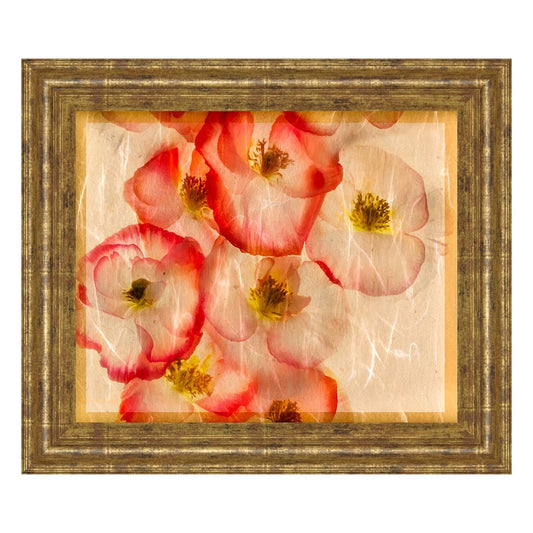 Classy Living Papaver Dreams III 26x22in Wall Art | Contemporary Floral Print in Gilded Radiance Frame | Living Room & Bedroom Decor | 26 x | Model 4991