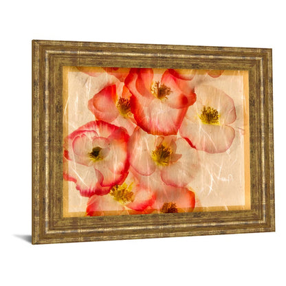Classy Living Papaver Dreams III 26x22in Wall Art | Contemporary Floral Print in Gilded Radiance Frame | Living Room & Bedroom Decor | 26 x | Model 4991