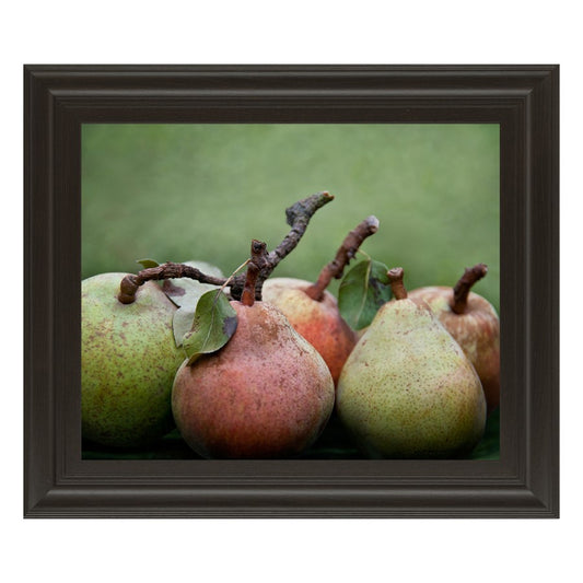 Classy Living Ripe Pears Harmony Wall Art 26x22in | Contemporary Framed Print, Dark Chocolate MDF Frame | Kitchen & Dining Room Decor | 26 x | Model 4999