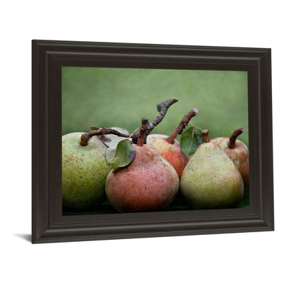 Classy Living Ripe Pears Harmony Wall Art 26x22in | Contemporary Framed Print, Dark Chocolate MDF Frame | Kitchen & Dining Room Decor | 26 x | Model 4999