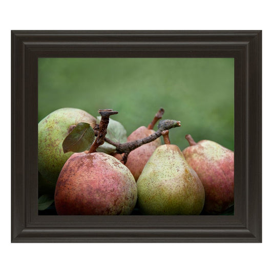 Classy Living Ripe Pears Still Life Wall Art 26x22in | Contemporary Framed Print with Chocolate MDF Frame | Kitchen & Living Room Decor | 26 | Model 8000