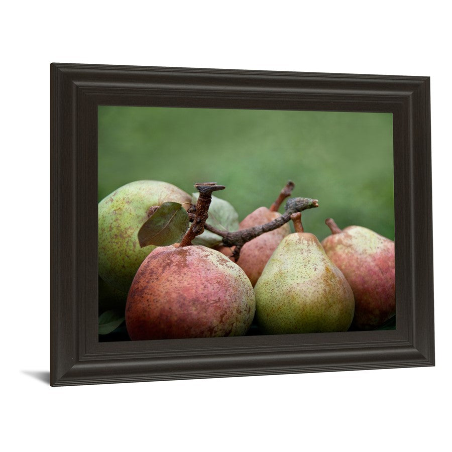 Classy Living Ripe Pears Still Life Wall Art 26x22in | Contemporary Framed Print with Chocolate MDF Frame | Kitchen & Living Room Decor | 26 | Model 8000