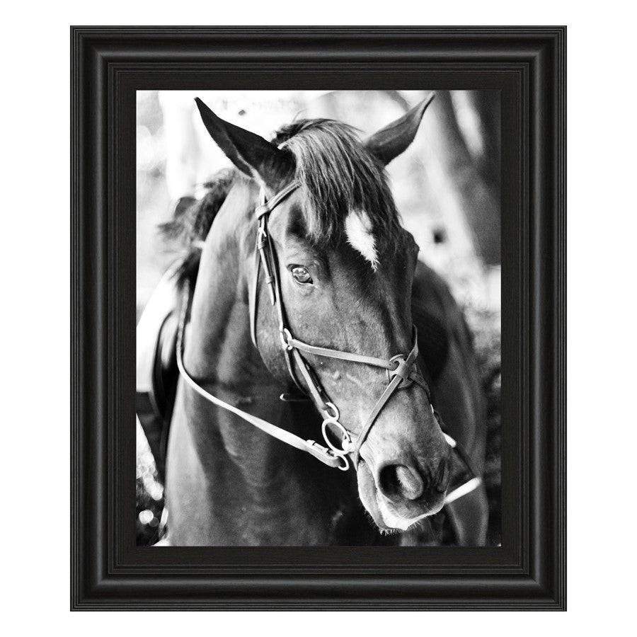 Classy Living Equestrian Grace 22x26in Wall Art | Contemporary Horse Portrait in Midnight Aura Frame | Living Room & Office Decor | 22 x 26 x | Model 8019