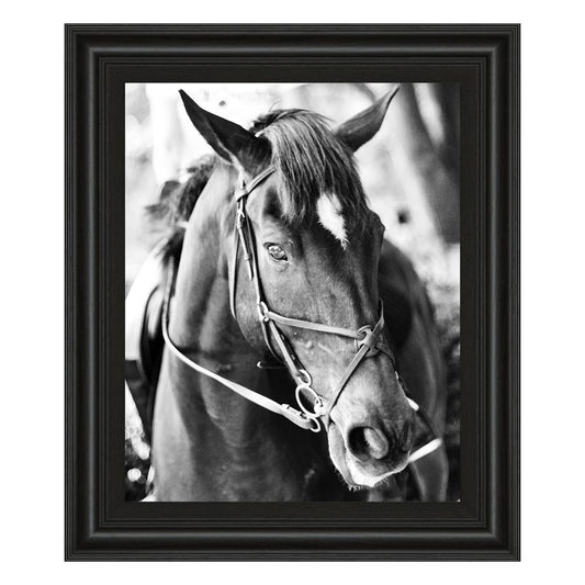 Classy Living Equestrian Grace 22x26in Wall Art | Contemporary Horse Portrait in Midnight Aura Frame | Living Room & Office Decor | 22 x 26 x | Model 8019