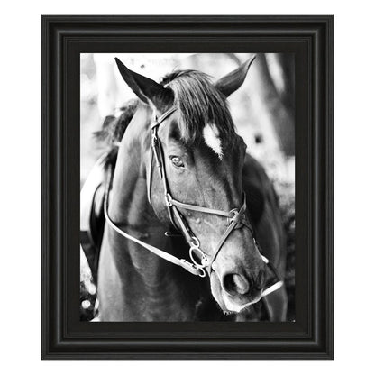 Classy Living Equestrian Grace 22x26in Wall Art | Contemporary Horse Portrait in Midnight Aura Frame | Living Room & Office Decor | 22 x 26 x | Model 8019