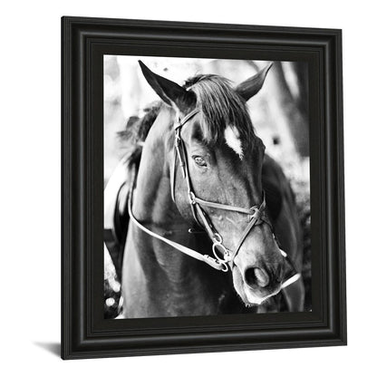 Classy Living Equestrian Grace 22x26in Wall Art | Contemporary Horse Portrait in Midnight Aura Frame | Living Room & Office Decor | 22 x 26 x | Model 8019