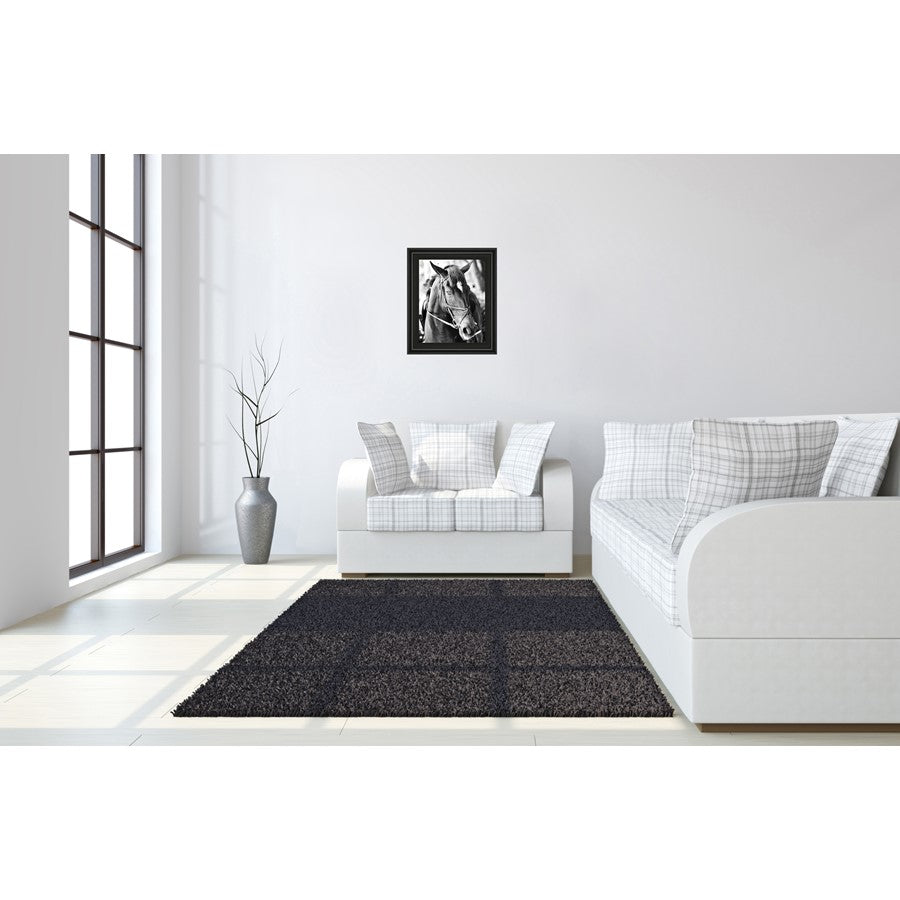 Classy Living Equestrian Grace 22x26in Wall Art | Contemporary Horse Portrait in Midnight Aura Frame | Living Room & Office Decor | 22 x 26 x | Model 8019