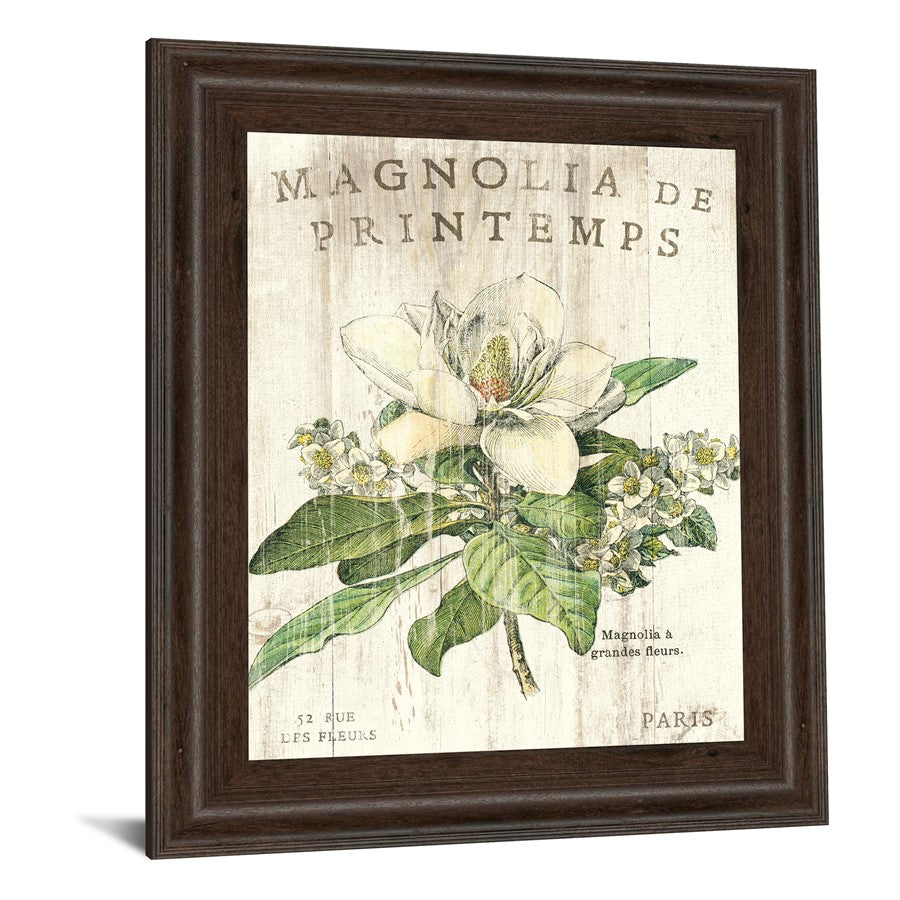 Classy Living Parisian Petals 22x26in Wall Art | Contemporary Botanical Print in Cinnamon Mocha MDF Frame | Living Room & Bedroom Decor | 22 | Model 8108