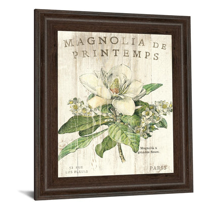 Classy Living Parisian Petals 22x26in Wall Art | Contemporary Botanical Print in Cinnamon Mocha MDF Frame | Living Room & Bedroom Decor | 22 | Model 8108