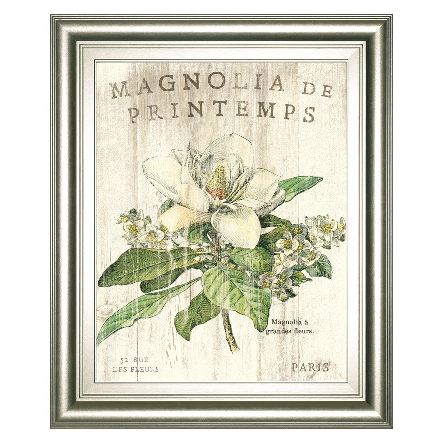 Classy Living Spring Magnolia 22x26in Wall Art | Contemporary Silver Serenity MDF Frame | Living Room & Bedroom Botanical Decor | 22 x 26 x | Model 8108B